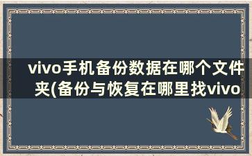 vivo手机备份数据在哪个文件夹(备份与恢复在哪里找vivo)