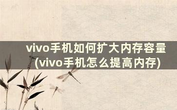 vivo手机如何扩大内存容量(vivo手机怎么提高内存)