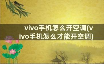 vivo手机怎么开空调(vivo手机怎么才能开空调)