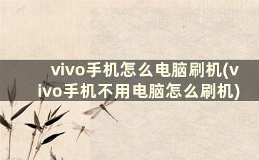 vivo手机怎么电脑刷机(vivo手机不用电脑怎么刷机)