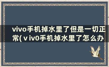 vivo手机掉水里了但是一切正常(ⅴiv0手机掉水里了怎么办)