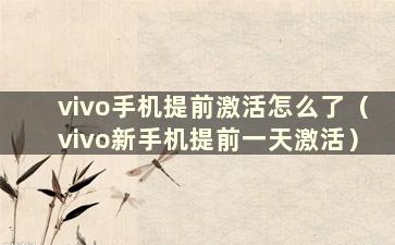 vivo手机提前激活怎么了（vivo新手机提前一天激活）