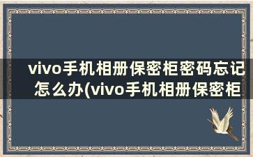 vivo手机相册保密柜密码忘记怎么办(vivo手机相册保密柜密码是什么)