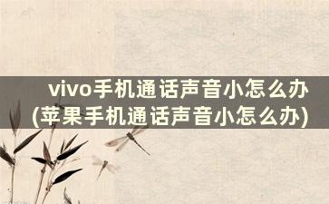 vivo手机通话声音小怎么办(苹果手机通话声音小怎么办)