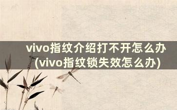 vivo指纹介绍打不开怎么办(vivo指纹锁失效怎么办)