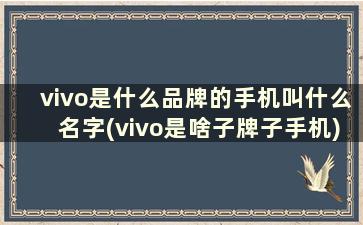 vivo是什么品牌的手机叫什么名字(vivo是啥子牌子手机)