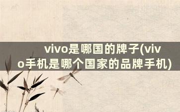 vivo是哪国的牌子(vivo手机是哪个国家的品牌手机)