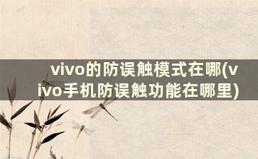 vivo的防误触模式在哪(vivo手机防误触功能在哪里)