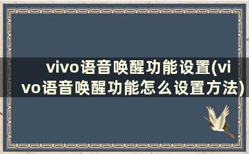 vivo语音唤醒功能设置(vivo语音唤醒功能怎么设置方法)