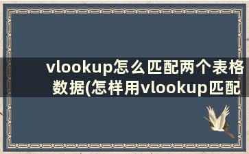 vlookup怎么匹配两个表格数据(怎样用vlookup匹配两个表格)