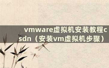 vmware虚拟机安装教程csdn（安装vm虚拟机步骤）