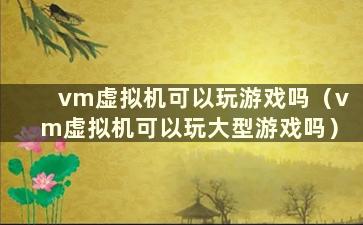 vm虚拟机可以玩游戏吗（vm虚拟机可以玩大型游戏吗）