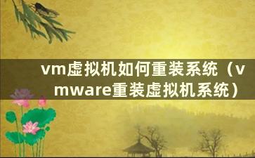 vm虚拟机如何重装系统（vmware重装虚拟机系统）