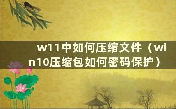 w11中如何压缩文件（win10压缩包如何密码保护）