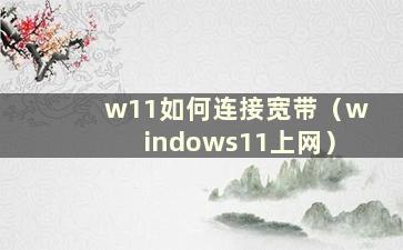 w11如何连接宽带（windows11上网）