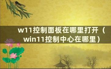 w11控制面板在哪里打开（win11控制中心在哪里）