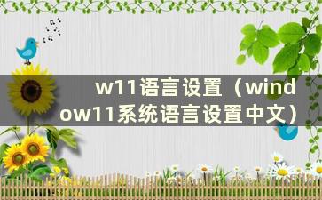 w11语言设置（window11系统语言设置中文）