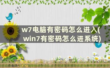 w7电脑有密码怎么进入(win7有密码怎么进系统)