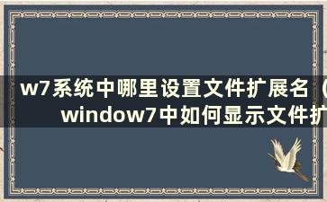 w7系统中哪里设置文件扩展名（window7中如何显示文件扩展名）