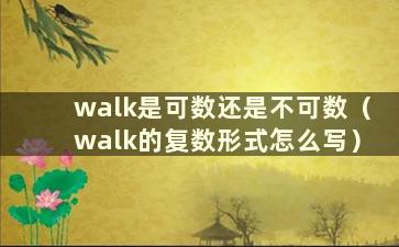 walk是可数还是不可数（walk的复数形式怎么写）