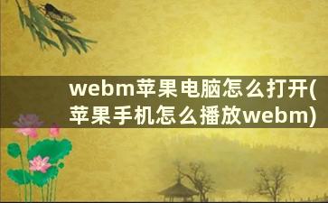 webm苹果电脑怎么打开(苹果手机怎么播放webm)