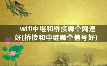 wifi中继和桥接哪个网速好(桥接和中继哪个信号好)