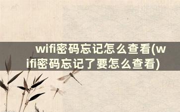 wifi密码忘记怎么查看(wifi密码忘记了要怎么查看)