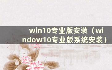 win10专业版安装（window10专业版系统安装）