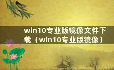 win10专业版镜像文件下载（win10专业版镜像）