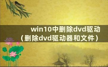 win10中删除dvd驱动（删除dvd驱动器和文件）