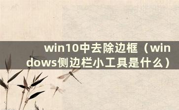 win10中去除边框（windows侧边栏小工具是什么）