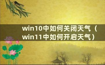 win10中如何关闭天气（win11中如何开启天气）