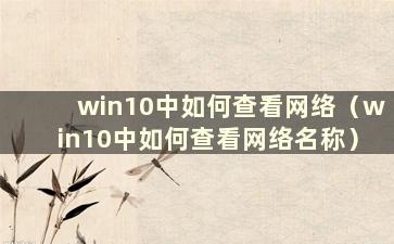 win10中如何查看网络（win10中如何查看网络名称）