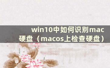 win10中如何识别mac硬盘（macos上检查硬盘）