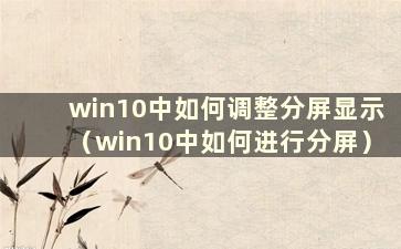 win10中如何调整分屏显示（win10中如何进行分屏）