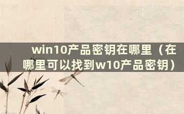 win10产品密钥在哪里（在哪里可以找到w10产品密钥）