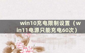 win10充电限制设置（win11电源只能充电60次）