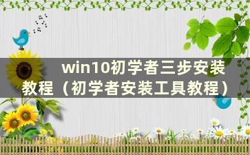 win10初学者三步安装教程（初学者安装工具教程）