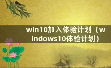 win10加入体验计划（windows10体验计划）