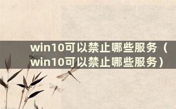 win10可以禁止哪些服务（win10可以禁止哪些服务）