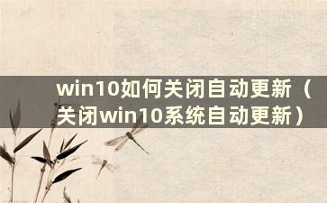 win10如何关闭自动更新（关闭win10系统自动更新）