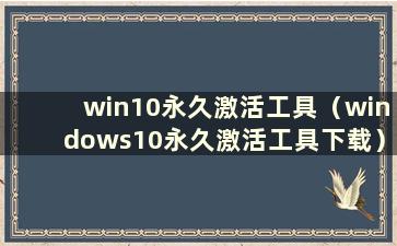 win10永久激活工具（windows10永久激活工具下载）