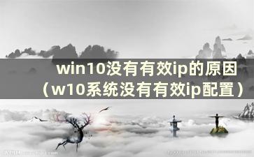 win10没有有效ip的原因（w10系统没有有效ip配置）