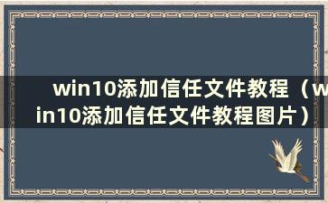 win10添加信任文件教程（win10添加信任文件教程图片）