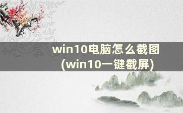 win10电脑怎么截图(win10一键截屏)