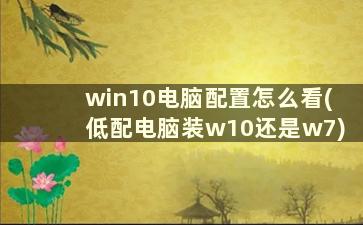 win10电脑配置怎么看(低配电脑装w10还是w7)