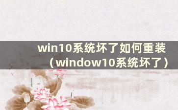 win10系统坏了如何重装（window10系统坏了）