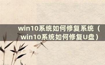 win10系统如何修复系统（win10系统如何修复U盘）