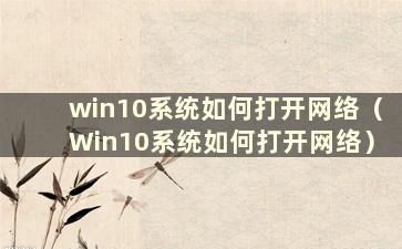 win10系统如何打开网络（Win10系统如何打开网络）