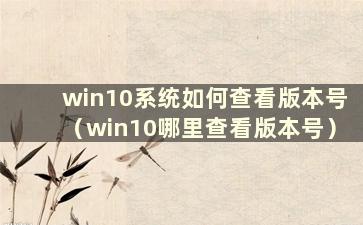 win10系统如何查看版本号（win10哪里查看版本号）